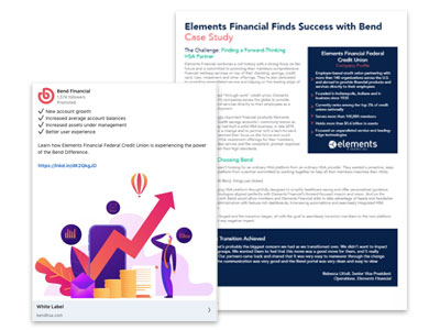 Elements Testimonial Campaign Case Study